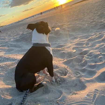 Ive's4hil/on Apartament *