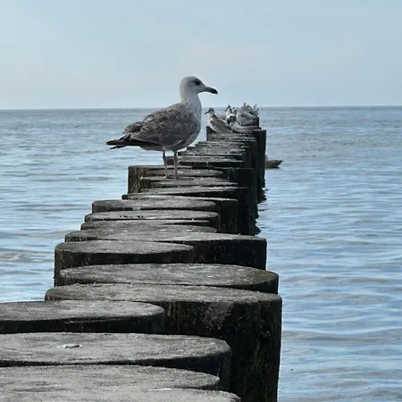 Ive's4hil/on Apartament *