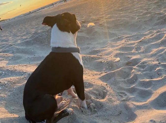 Ive's4hil/on Lägenhet *