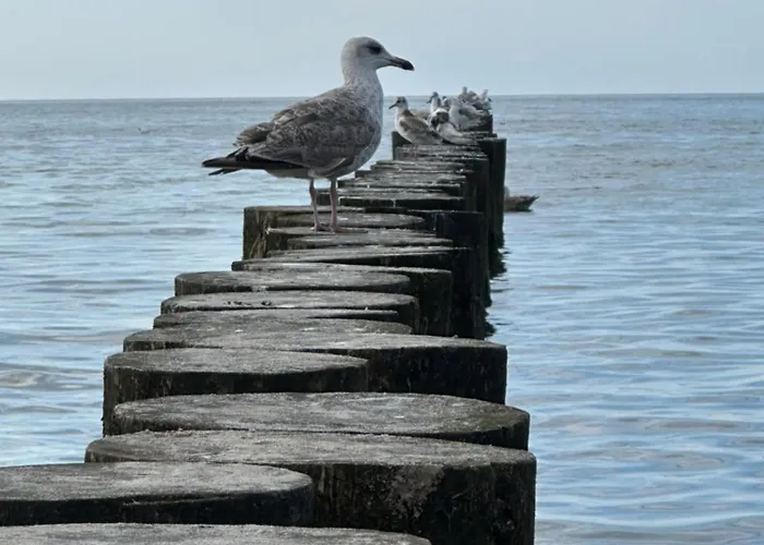 Ive's4hil/on Lägenhet *